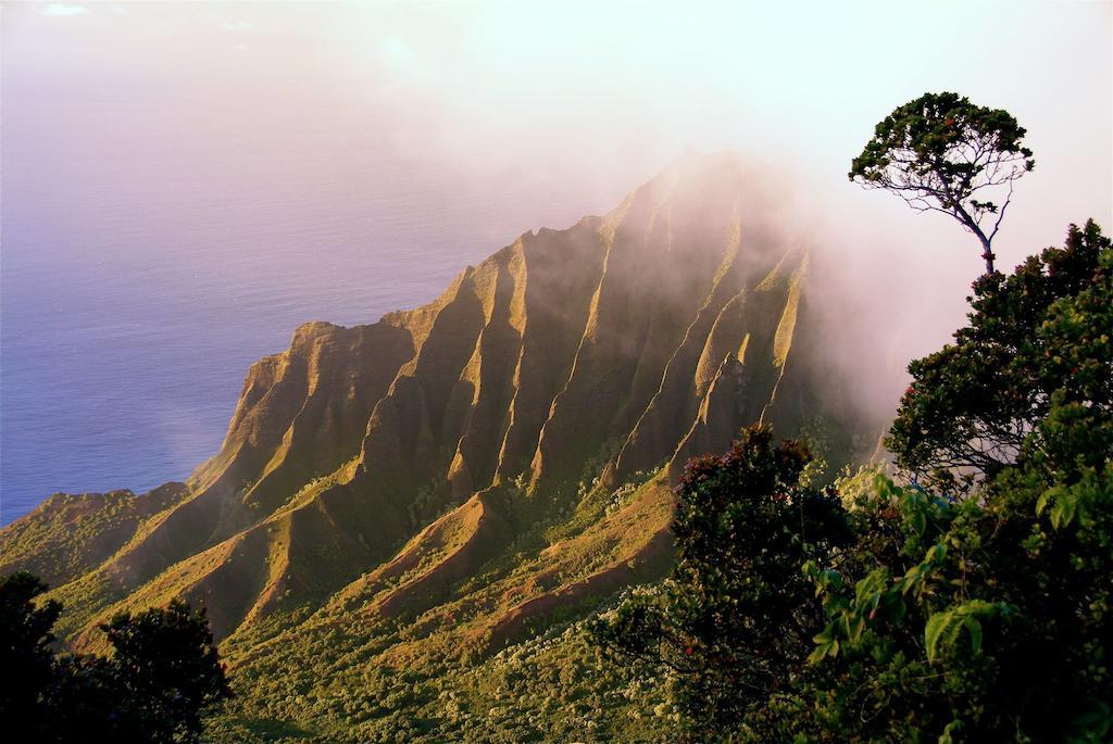The West Inn Kauai Kekaha Eksteriør billede